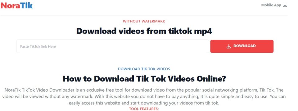 Download Video TikTok Melalui Noratik