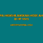 Cara Menghilangkan Mode Aman Di HP VIVO