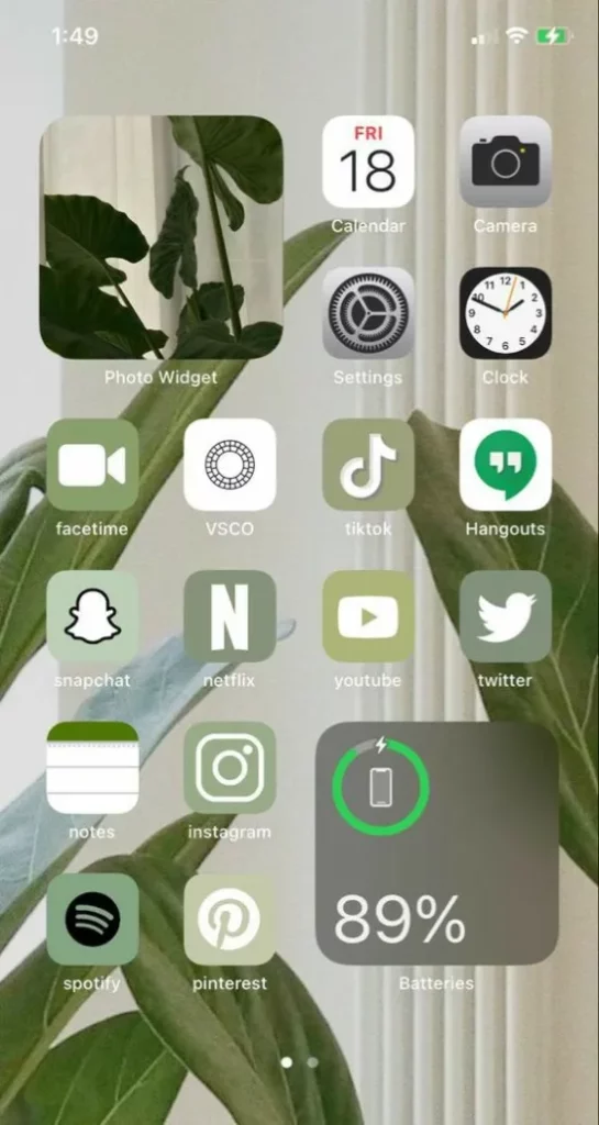 Simple Natural Home Screen