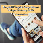 Ternyata Ini Penyebab Kenapa Followers Instagram Berkurang Sendiri